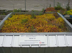 Green Roof Research - Quad-Lock REM-10 with green roof layer