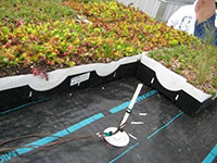 Green Roof Research - ICF Structure Greening 3